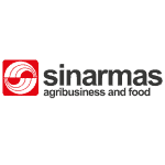 Best Cloud software solution provided by Pro Int in Indonesia tailored for smart business growth and innovation
